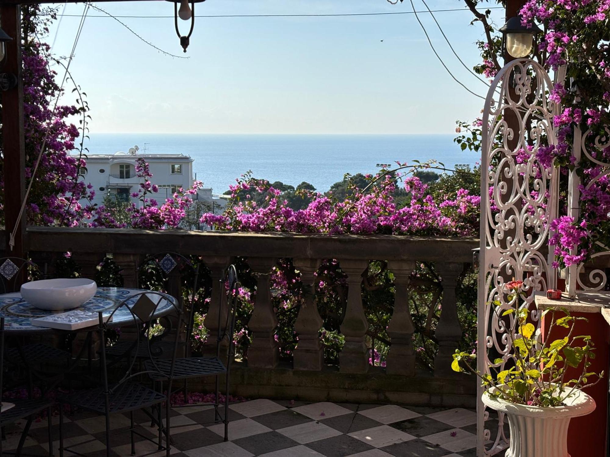 Luxury House In Villa Pompeiana Via Camerelle Con Terrazza Vista Mare Capri Dış mekan fotoğraf